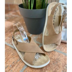 SAND 6544/5