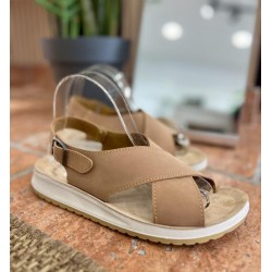 SAND 6544/5
